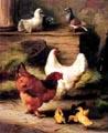 unknow artist Hens and Chicken oil painting picture
